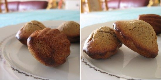 Madeleine olive - cumin Madeleine olive - cumin