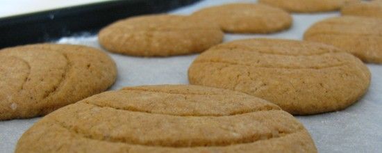 Speculoos Speculoos