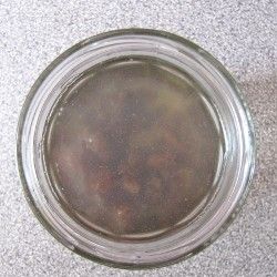 Levain raisin j0-2 Levain raisin sans gluten